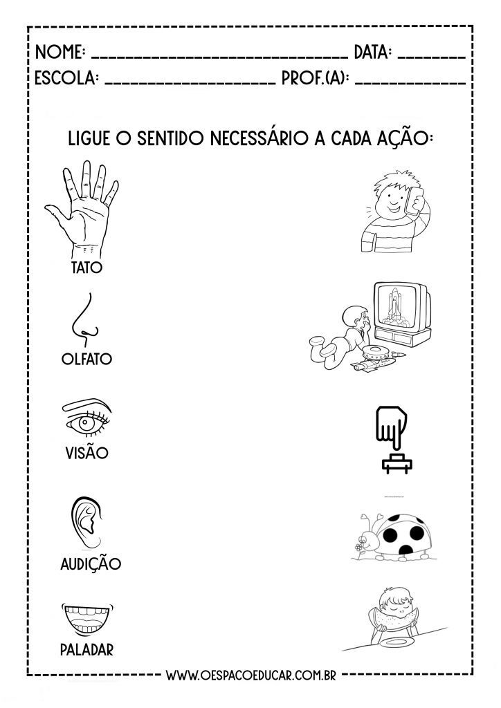 CINCO SENTIDOS