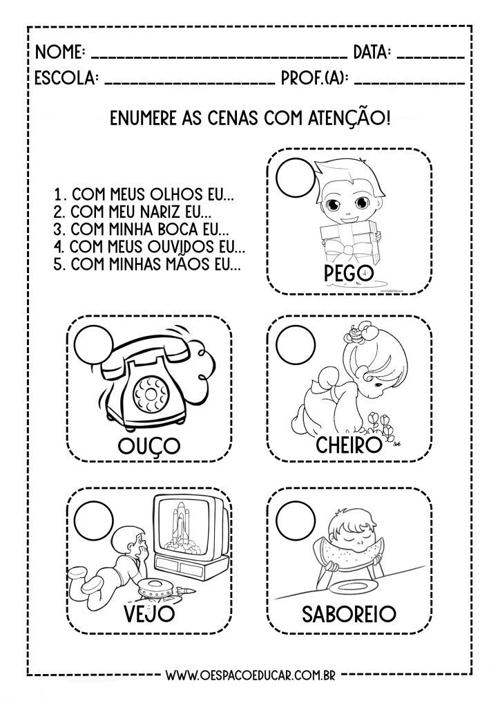 CINCO SENTIDOS