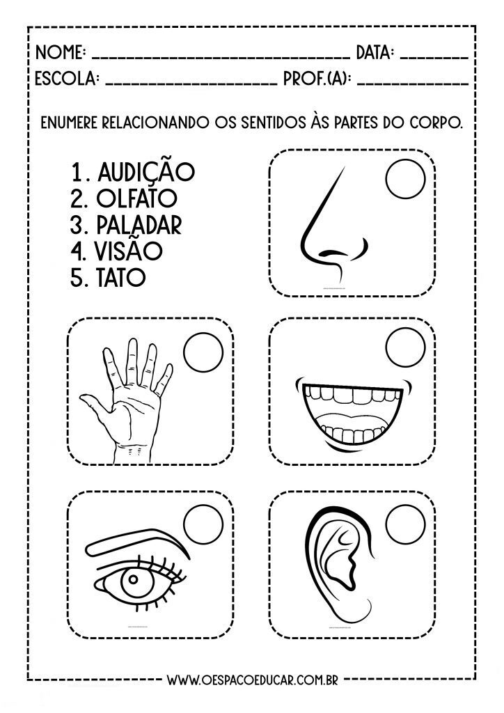 CINCO SENTIDOS