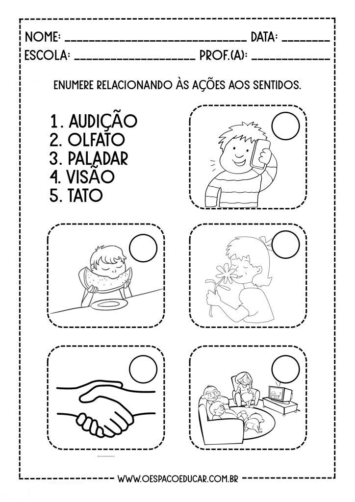 CINCO SENTIDOS