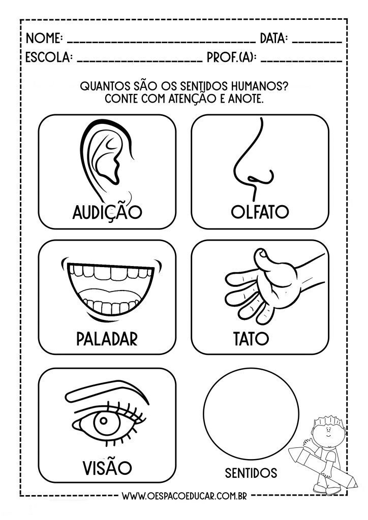 CINCO SENTIDOS