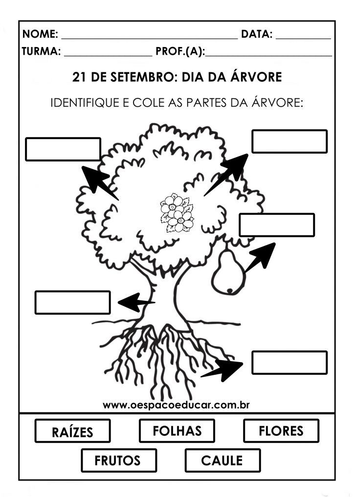 Ed infantil diadaarvore
