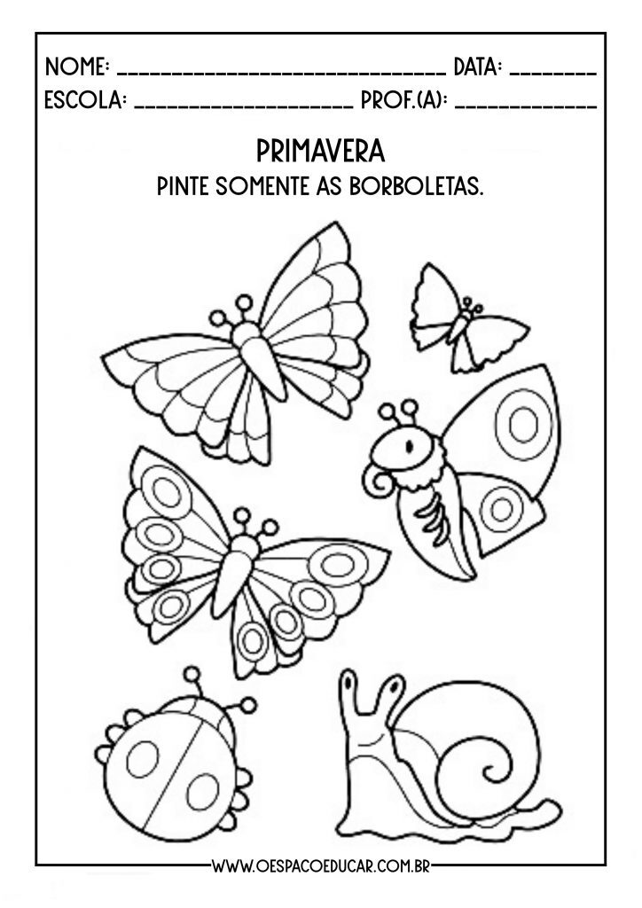 Atividades primavera