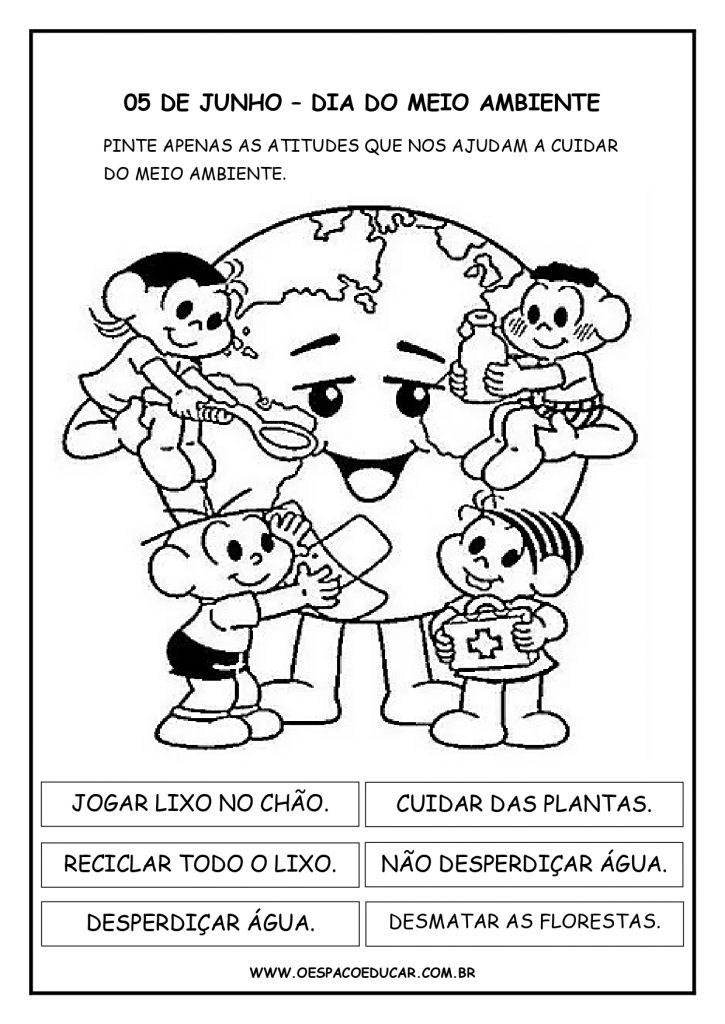 DE JUNHO MEIO AMBIENTE