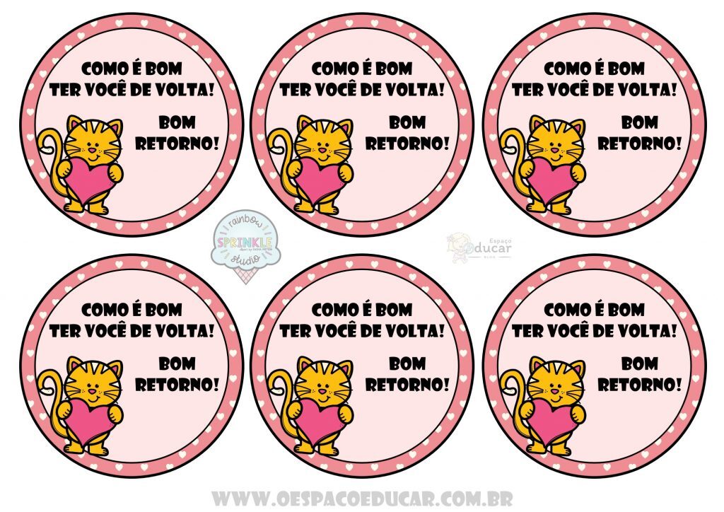 Gatinho volta as aulas