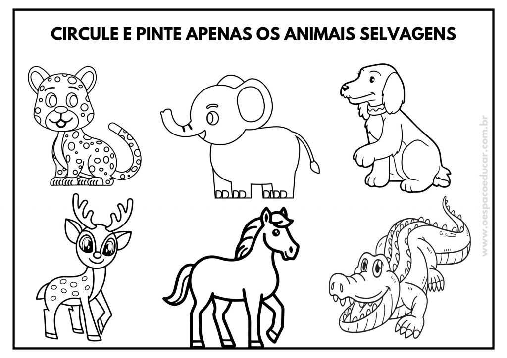 Dia dos animais: atividades para Educação Infantil!
