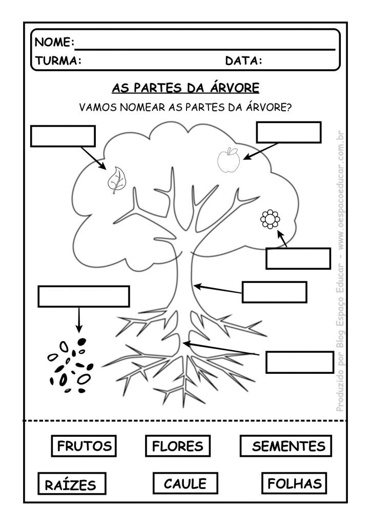 As partes da árvore .BR