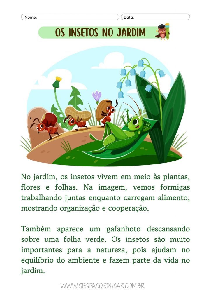 Ensino Fundamental: interpretando textos!
