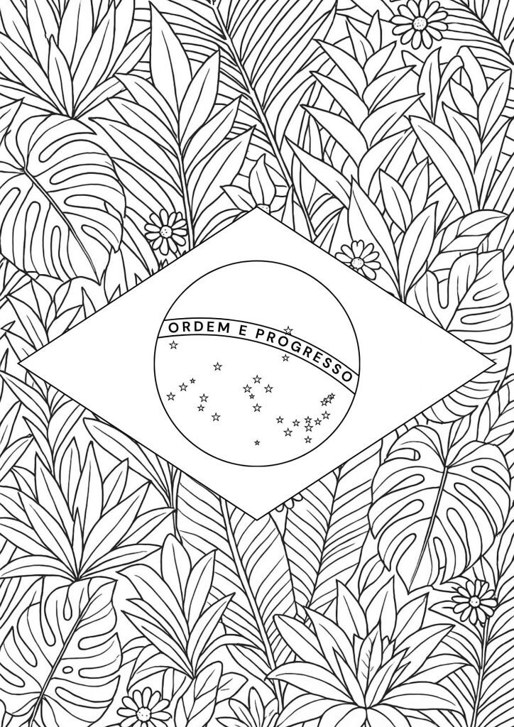 Desenho da Bandeira do Brasil para colorir no estilo ilustração detalhada